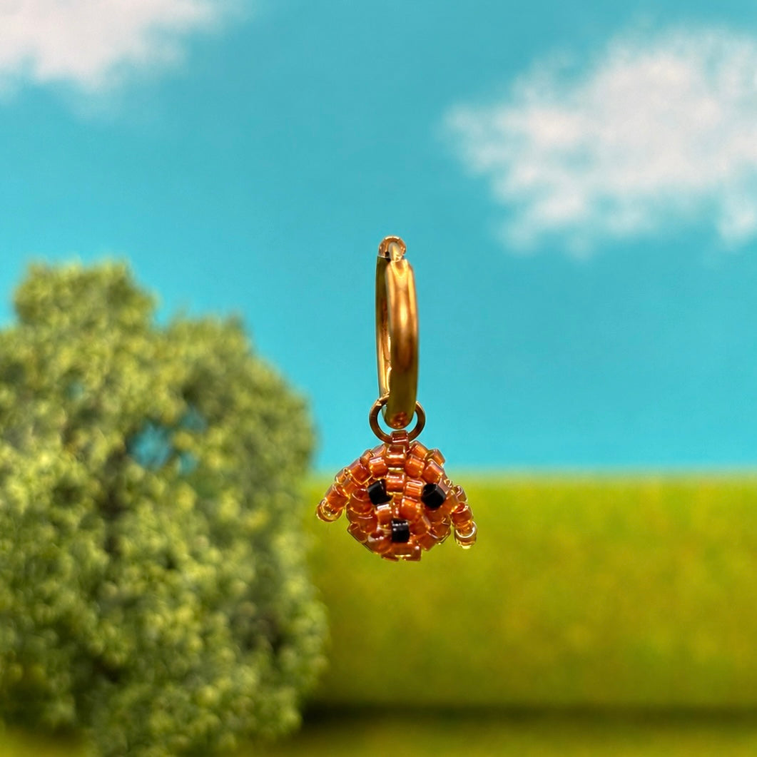 BICHON Créole tête